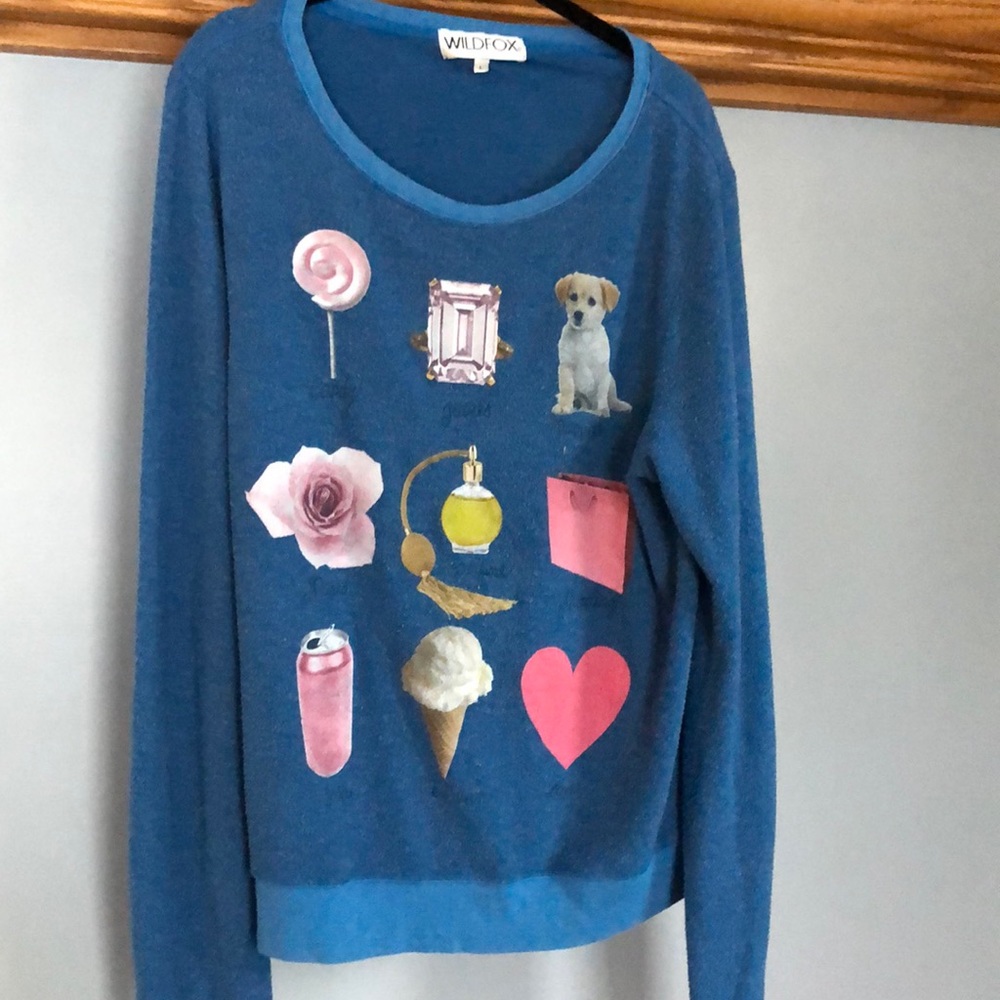 Blue Wildfox sweatshirt